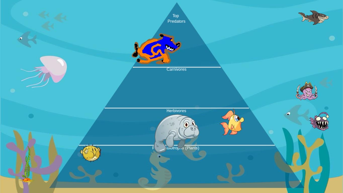 Ocean Ecological Pyramid