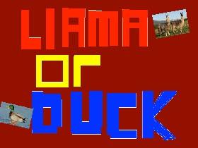 Llama or Duck? 1