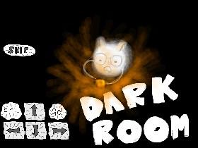 Dark Room! 4