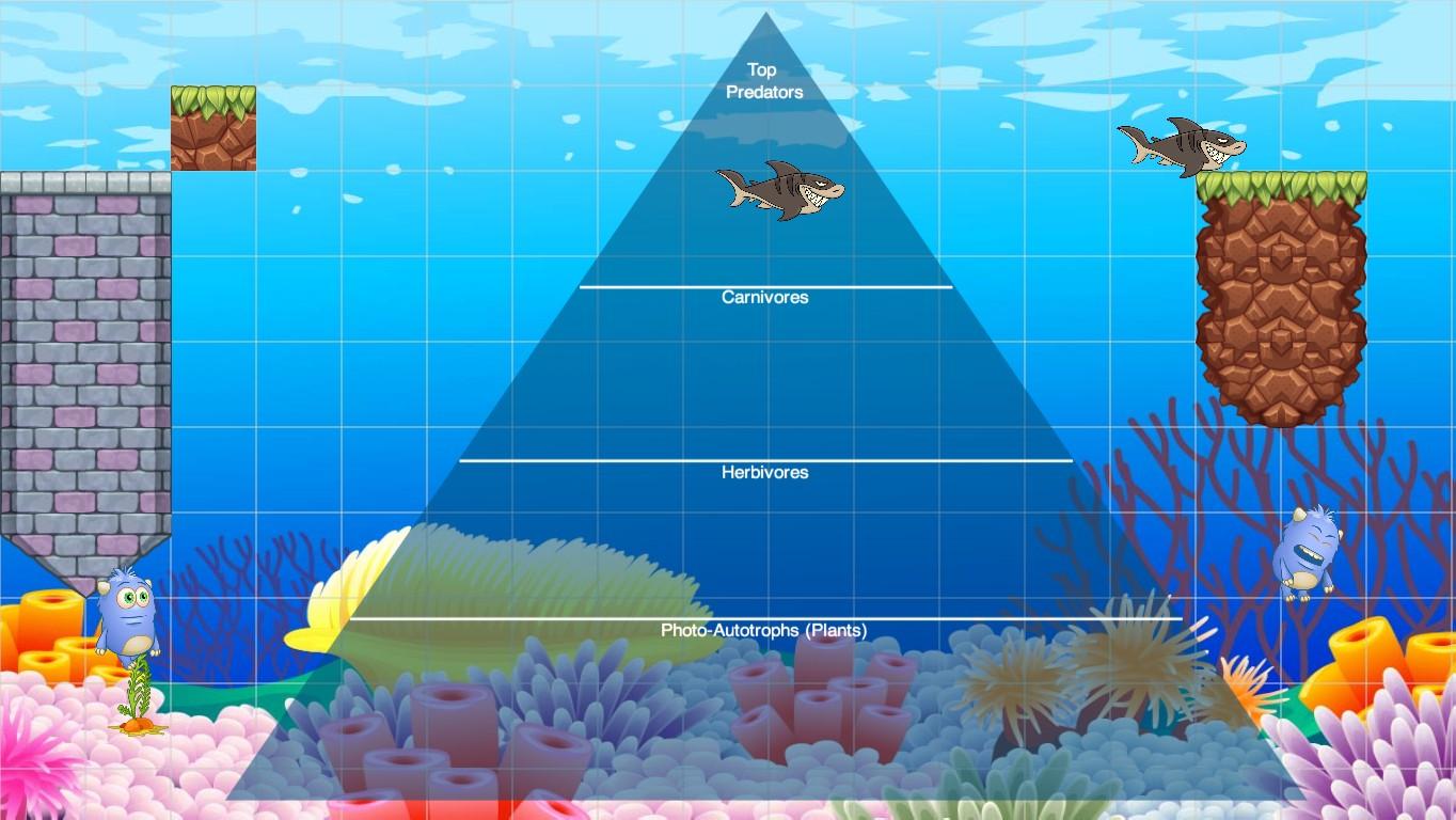 Ocean Ecological Pyramid