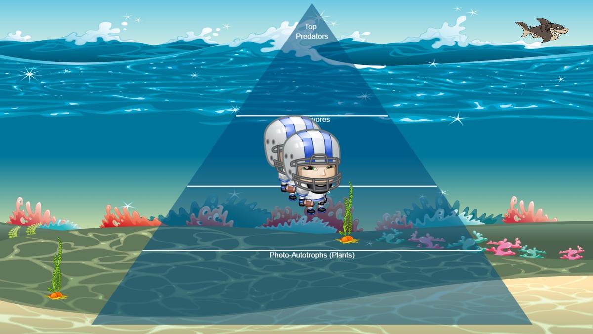 Ocean Ecological Pyramid