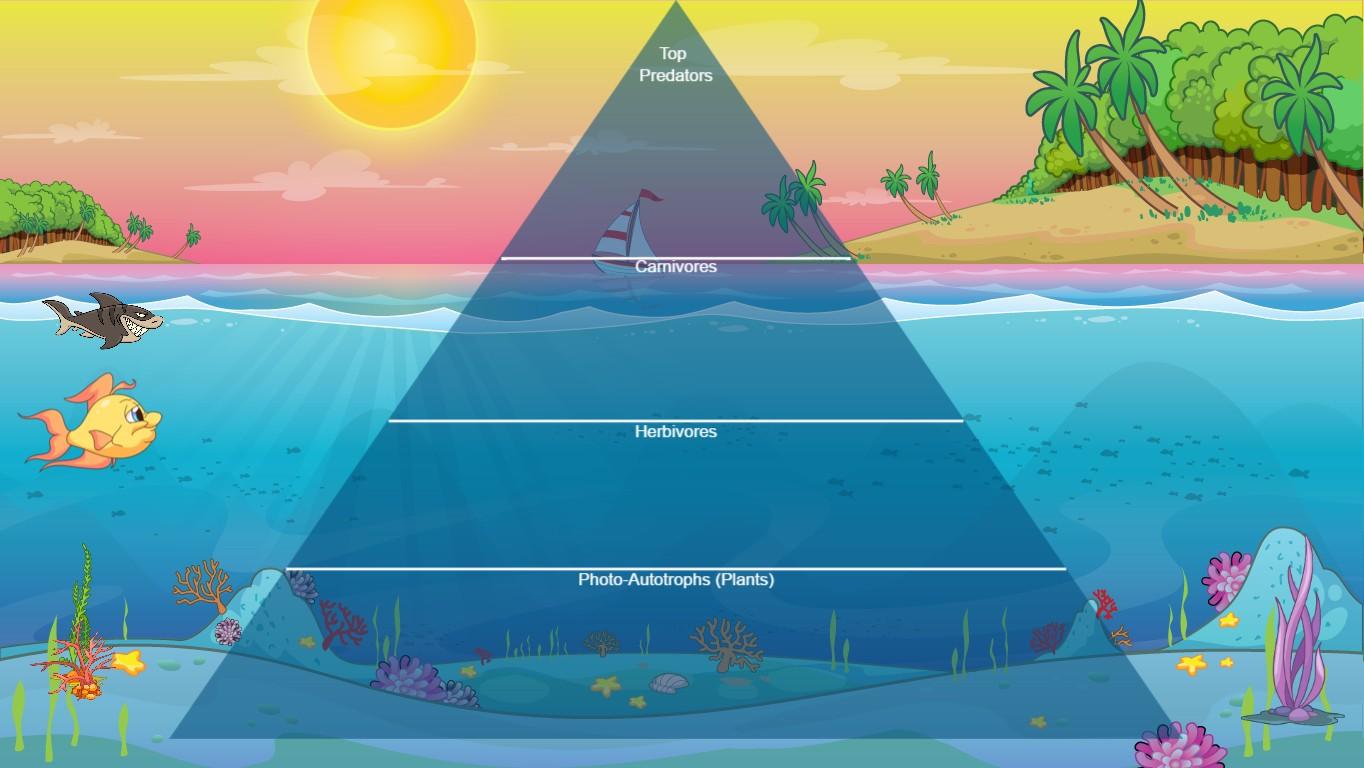 Ocean Ecological Pyramid