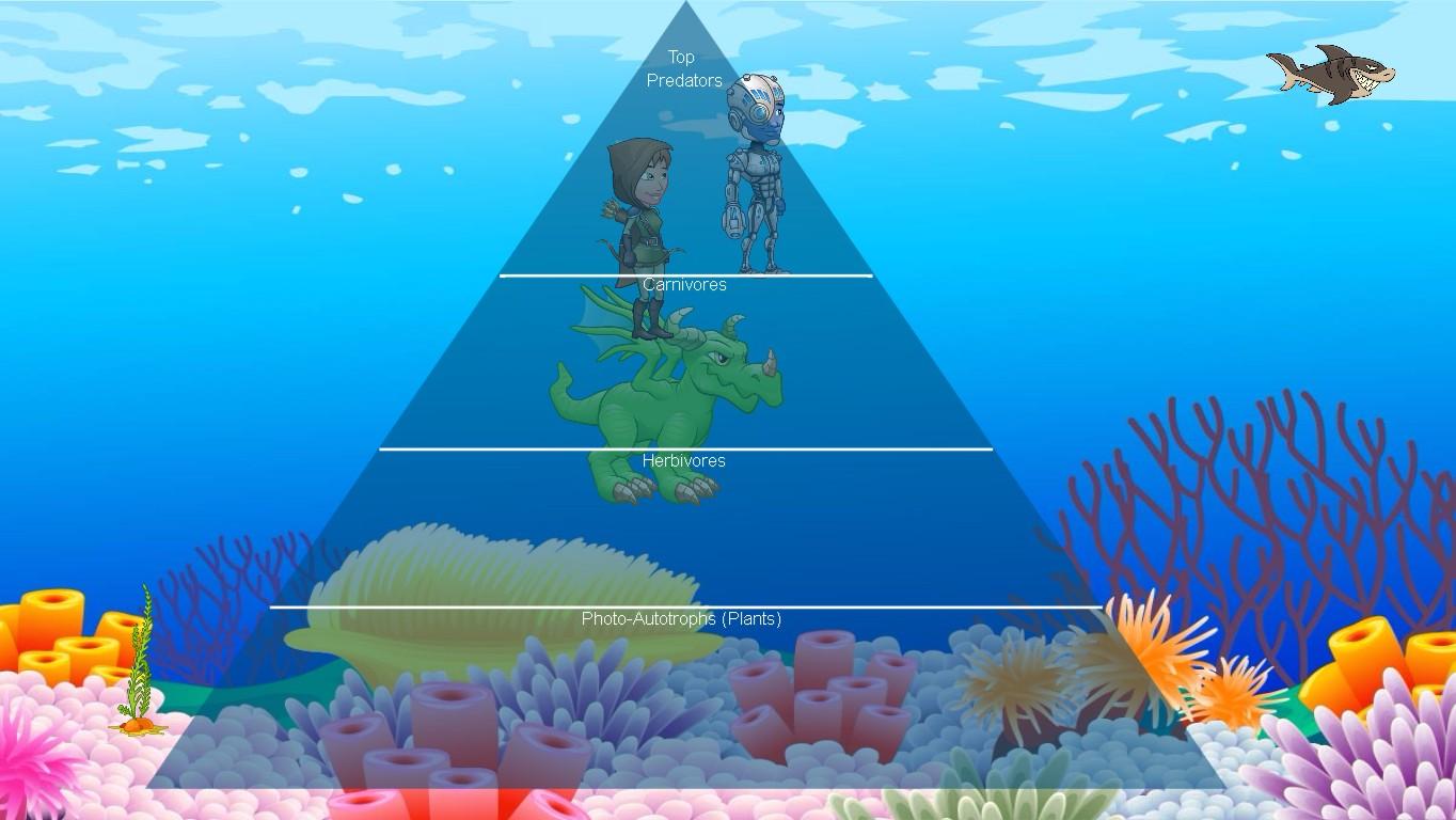 Ocean Ecological Pyramid