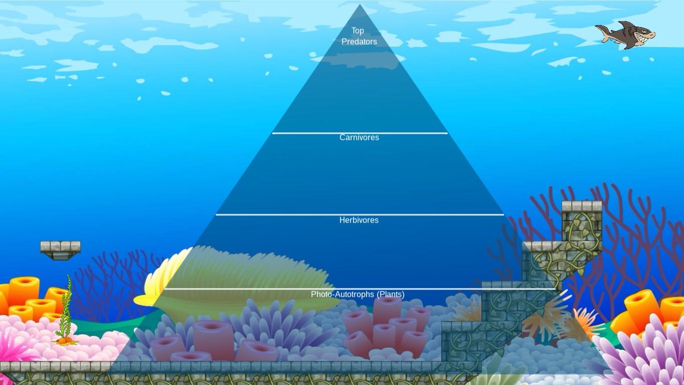 Ocean Ecological Pyramid