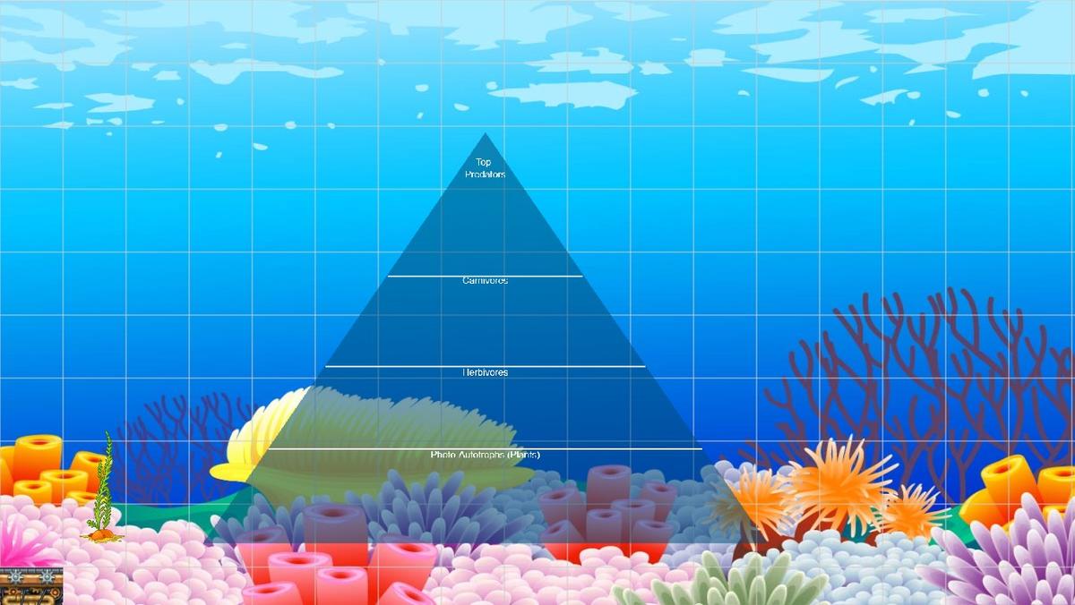 Ocean Ecological Pyramid