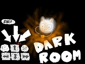 Dark Room! 1