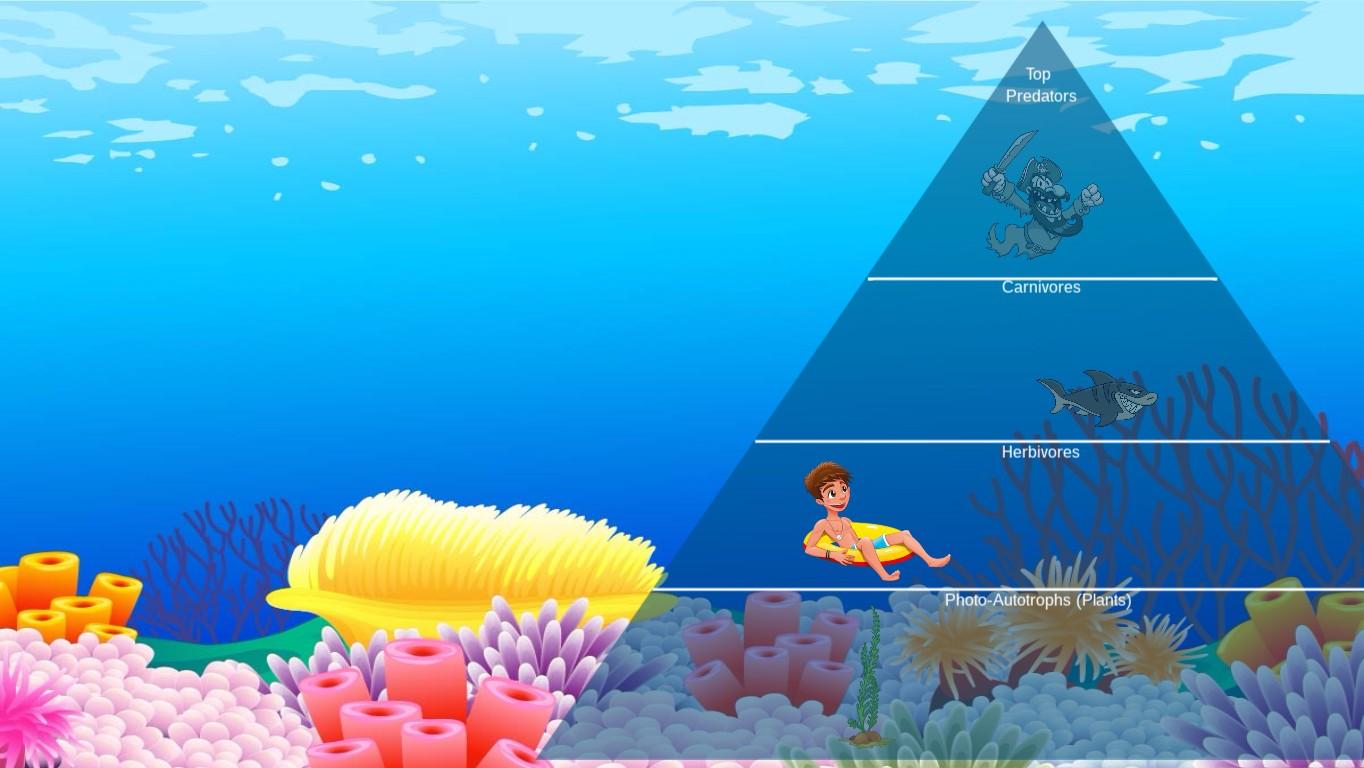 Ocean Ecological Pyramid