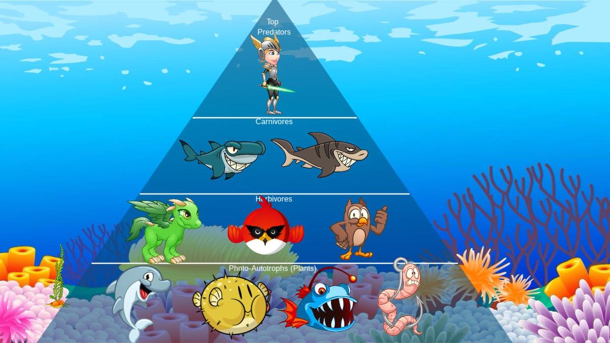 Ocean Ecological Pyramid