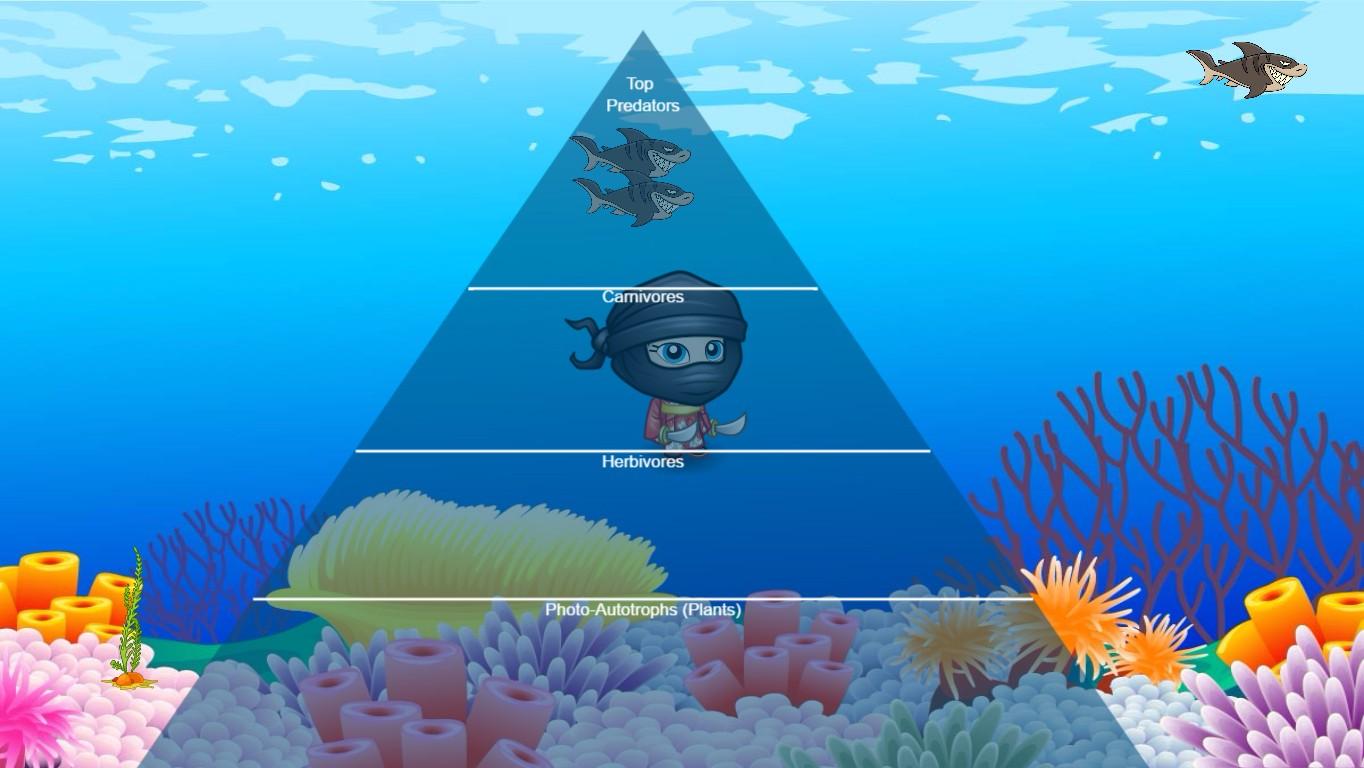 Ocean Ecological Pyramid