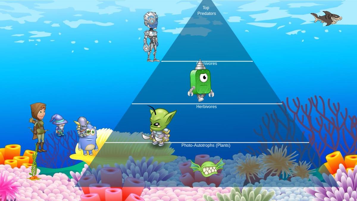 Ocean Ecological Pyramid