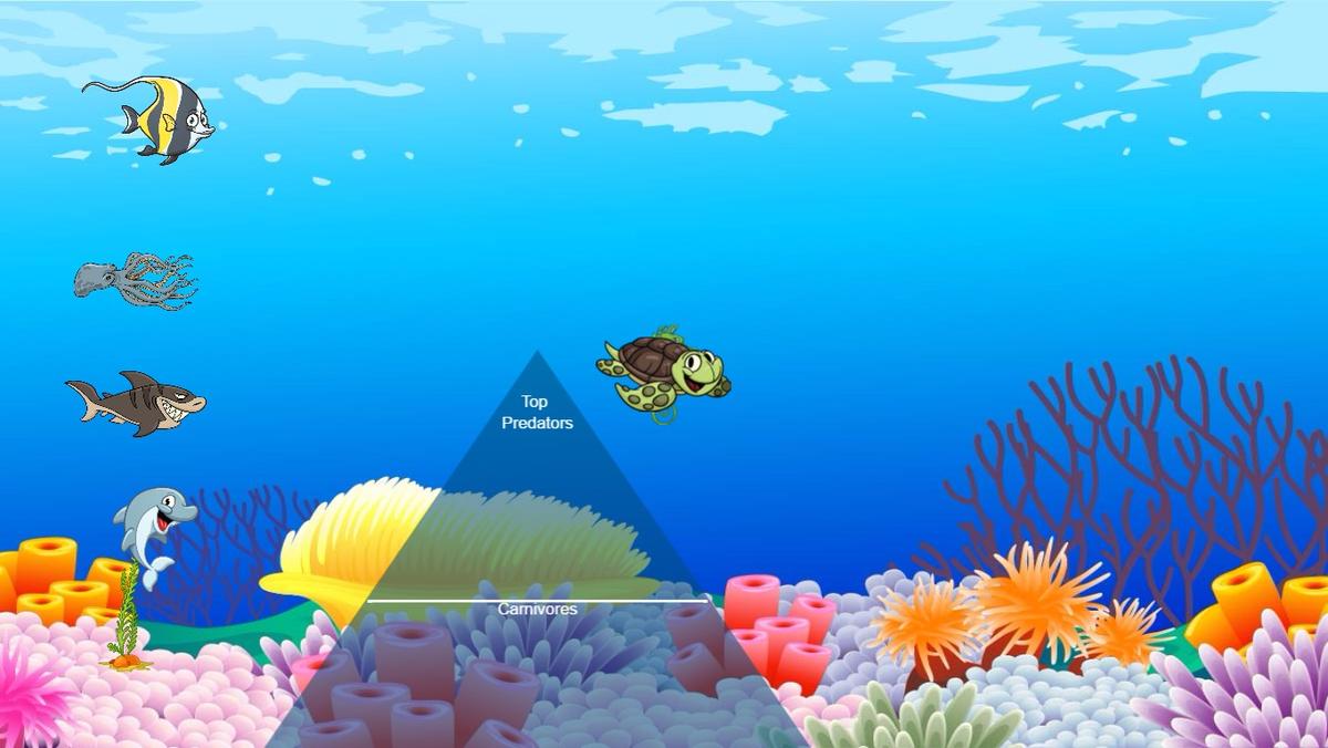 Ocean Ecological Pyramid