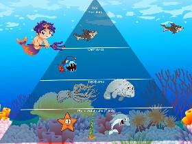 Ecological Pyramid 3