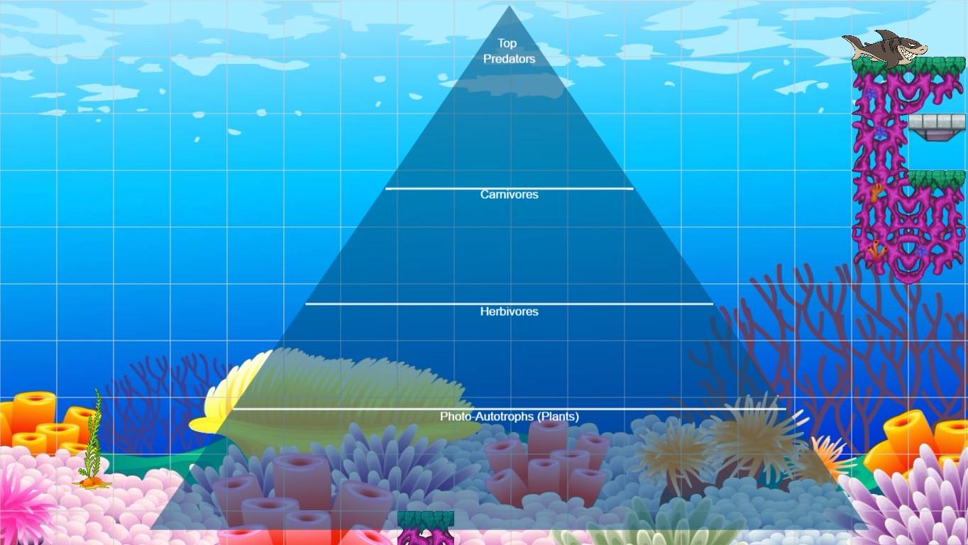 Ocean Ecological Pyramid