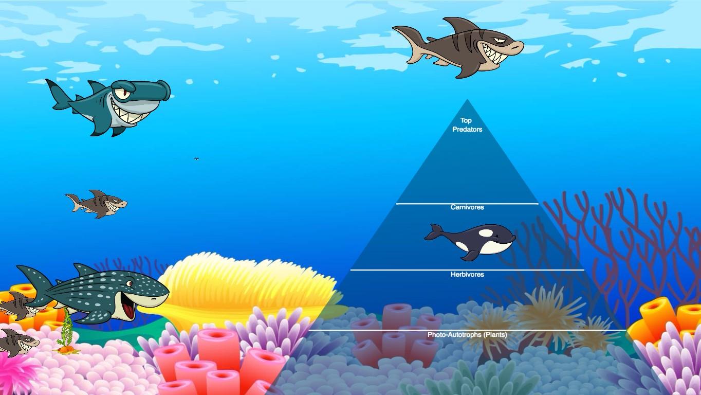 Ocean Ecological Pyramid