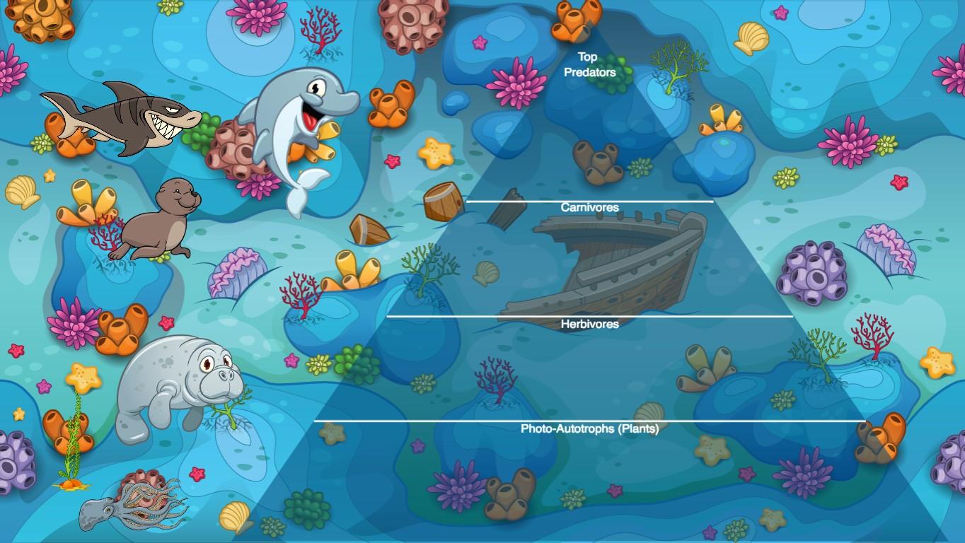 Ocean Ecological Pyramid