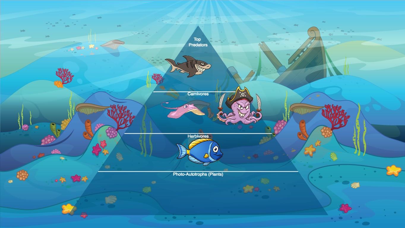 Ocean Ecological Pyramid