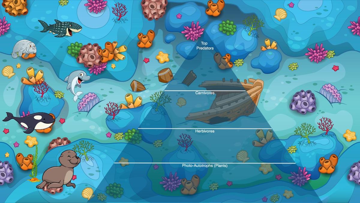 Ocean Ecological Pyramid