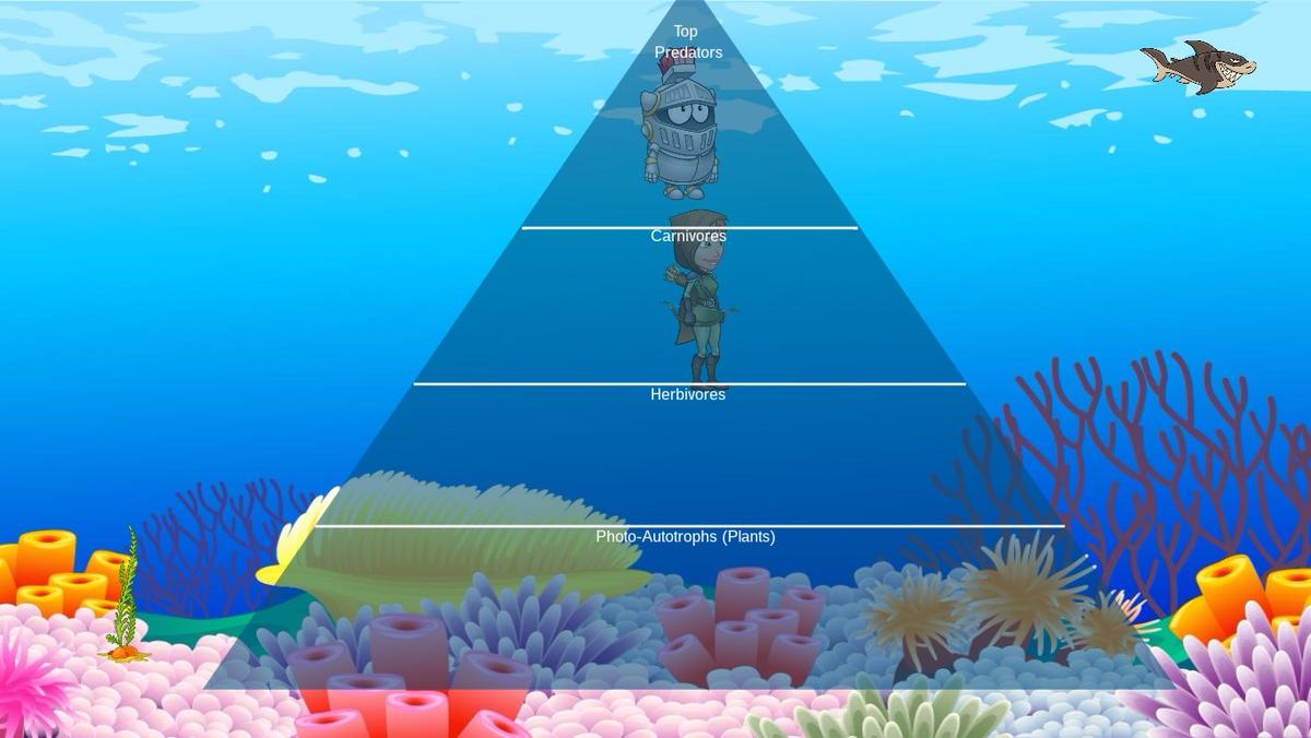 Ocean Ecological Pyramid