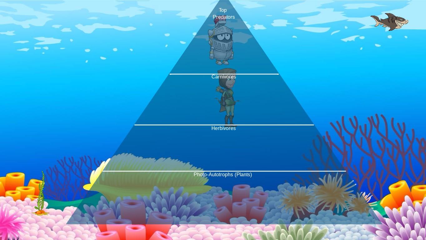 Ocean Ecological Pyramid