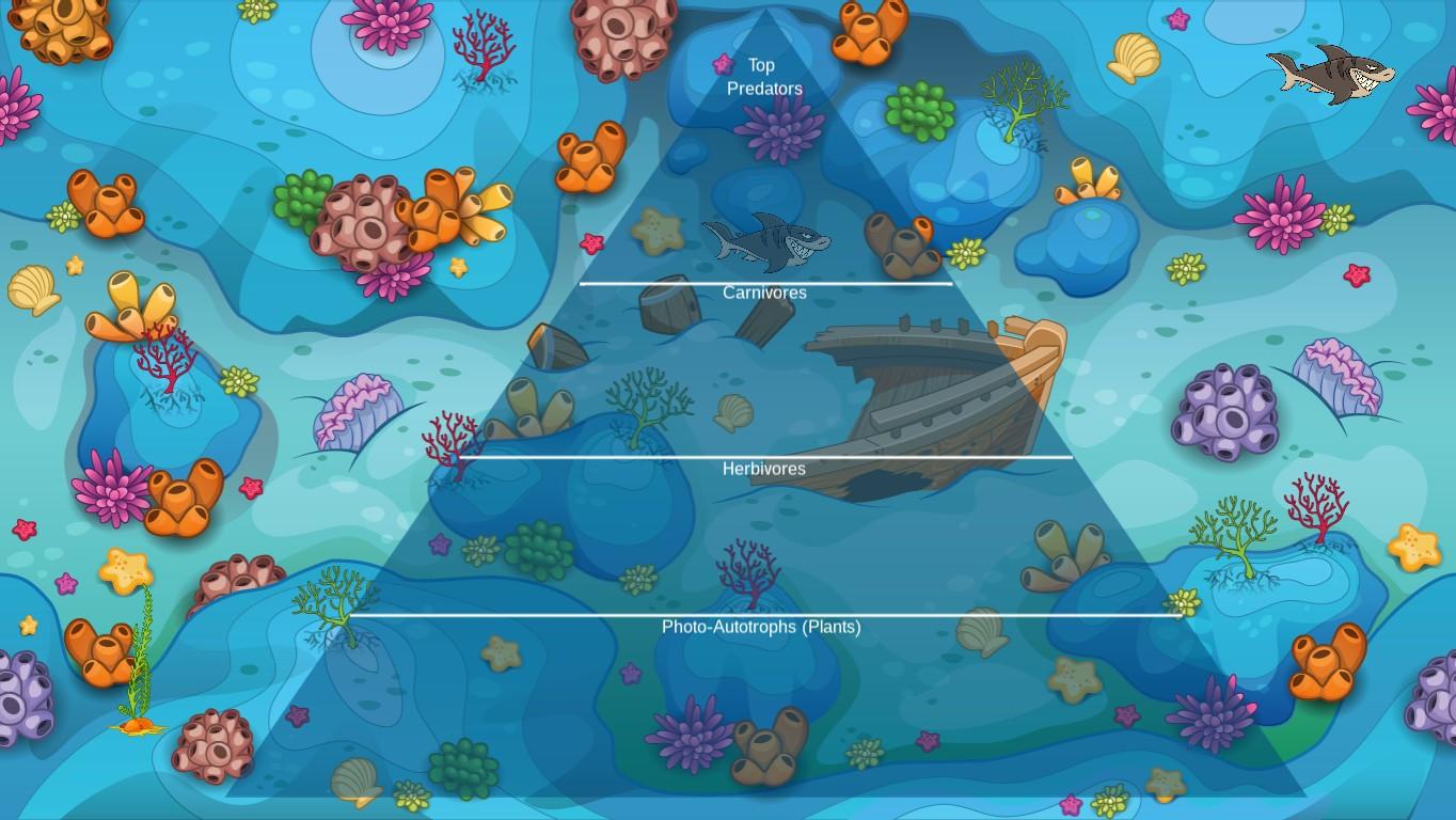 Ocean Ecological Pyramid