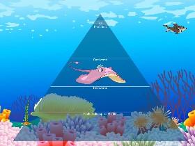 Ecological Pyramid 1