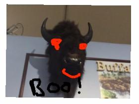 Buffalo boo!