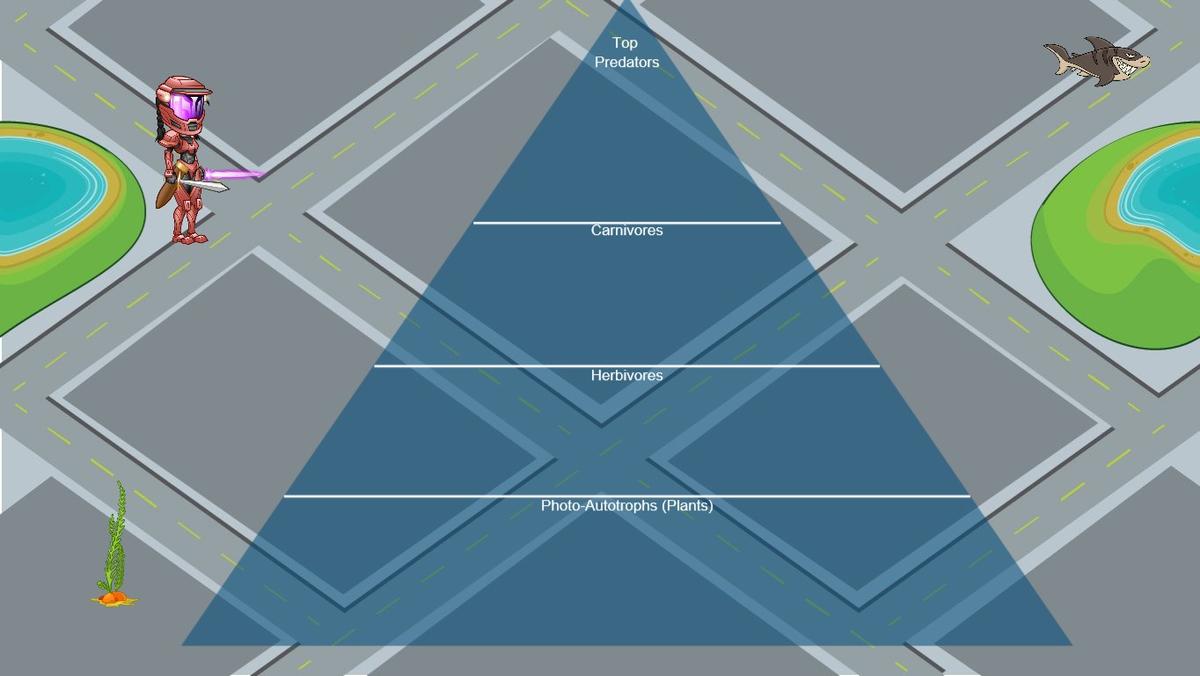 Ocean Ecological Pyramid