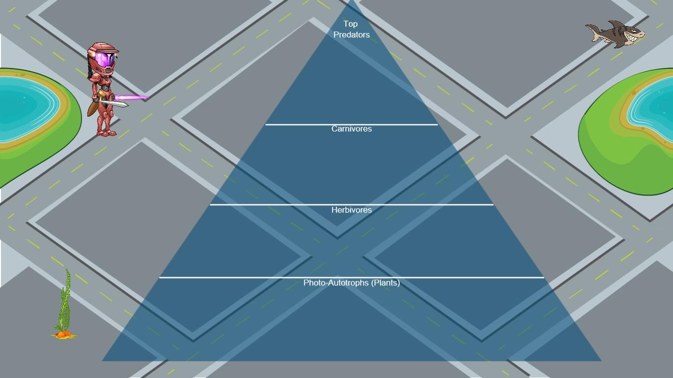 Ocean Ecological Pyramid