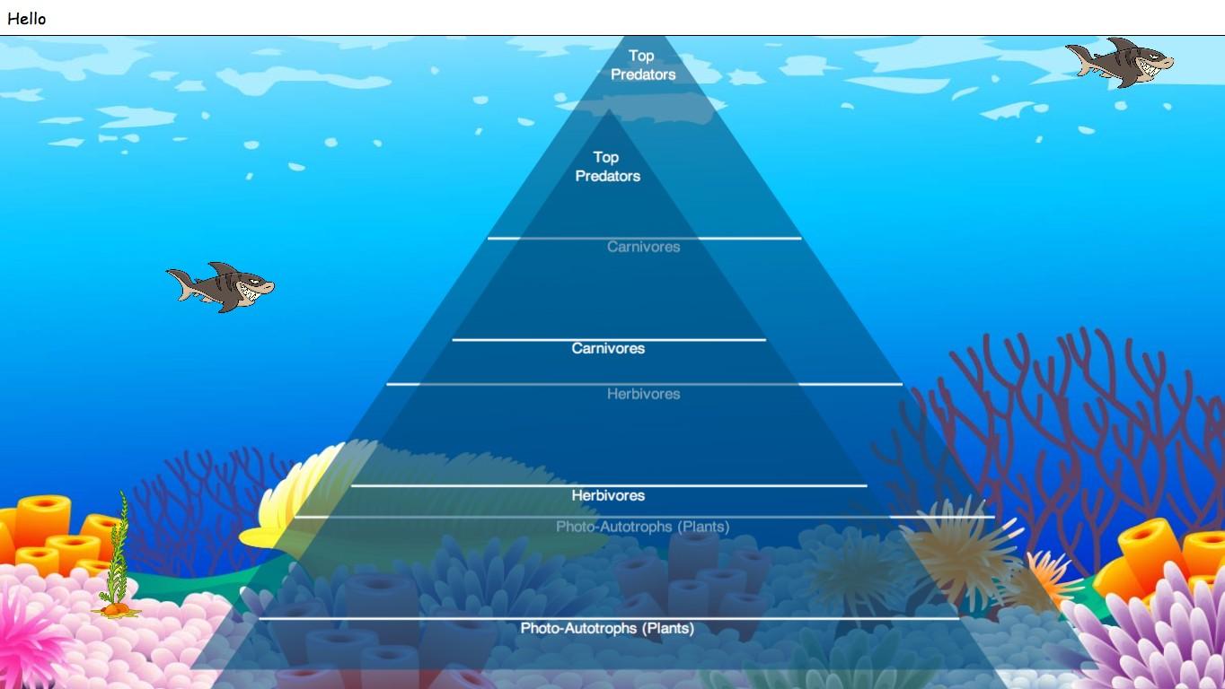 Ocean Ecological Pyramid