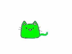 jacksepticat