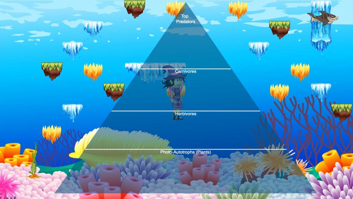 Ocean Ecological Pyramid