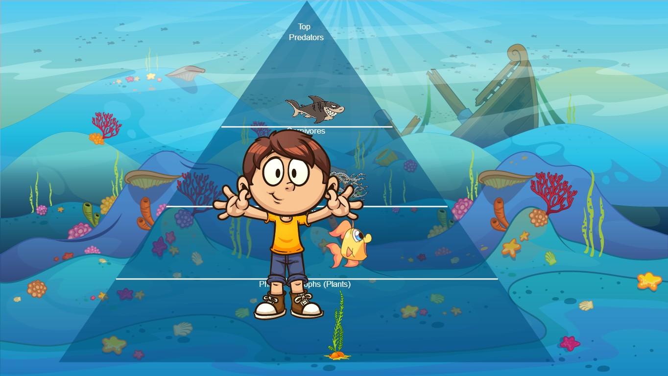 Ocean Ecological Pyramid