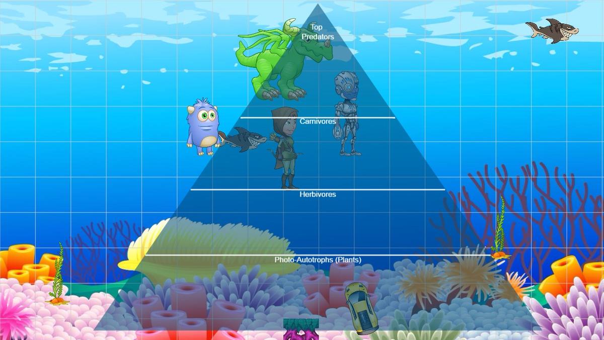 Ocean Ecological Pyramid