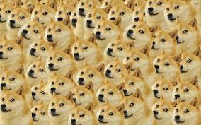 Flee from the doge