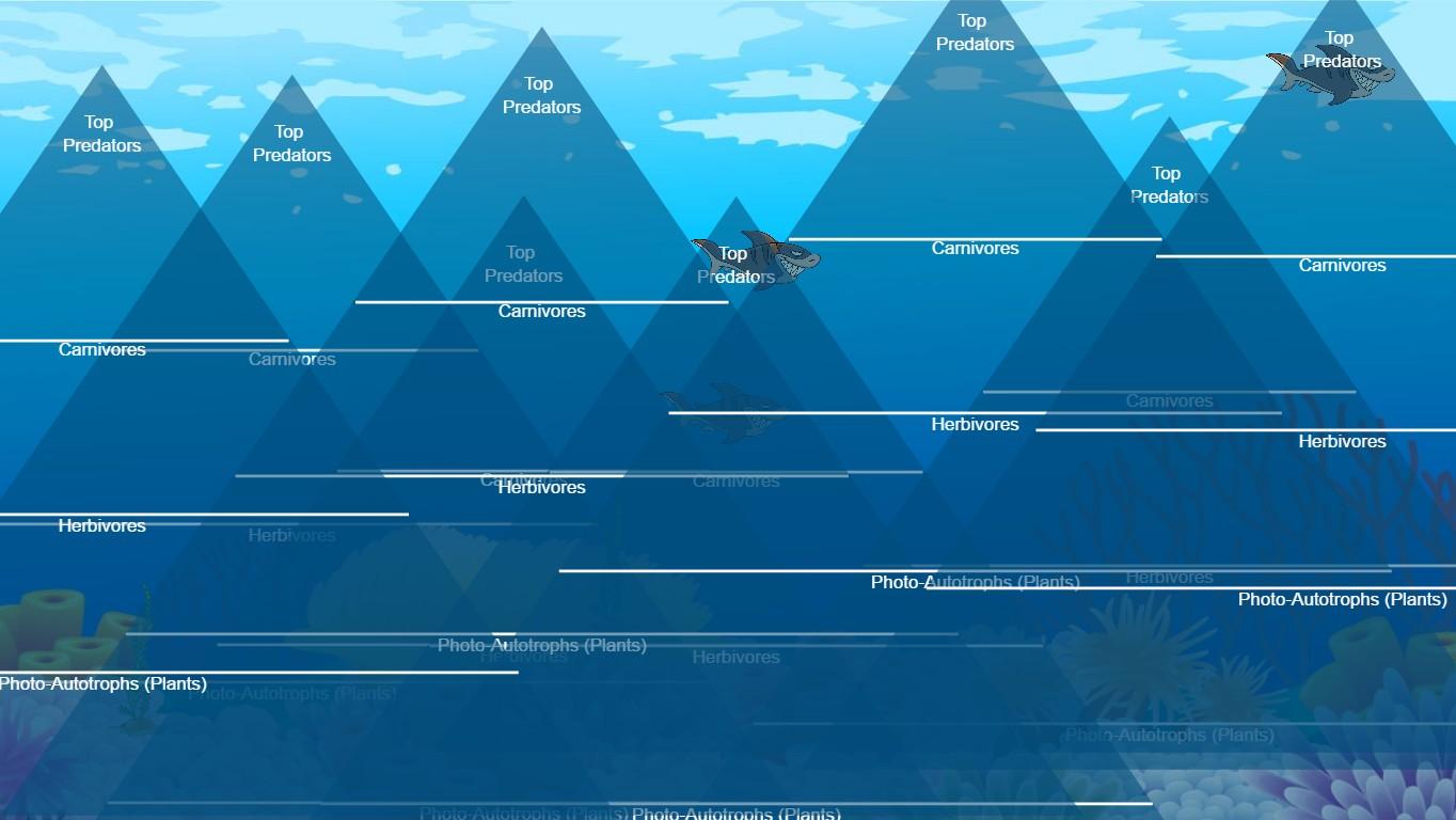 Ocean Ecological Pyramid