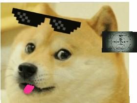 DOGE  1 1 1