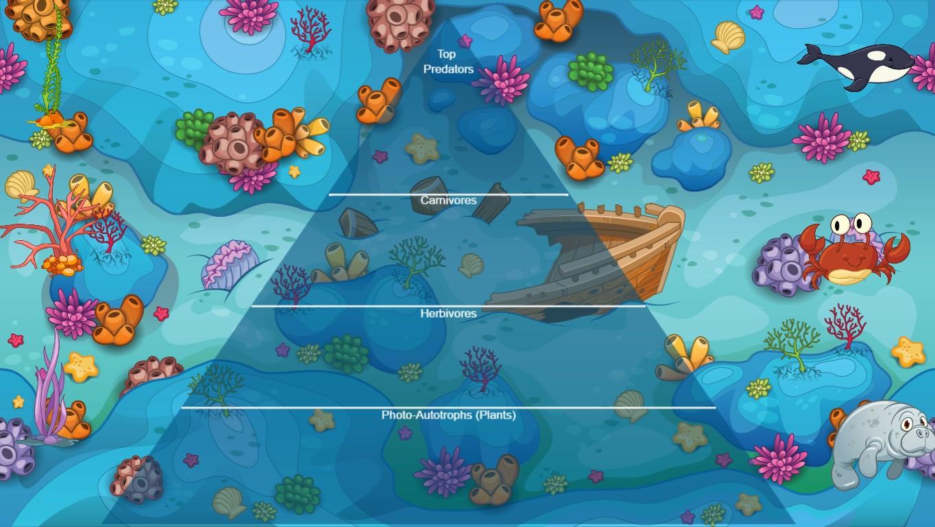 Ocean Ecological Pyramid