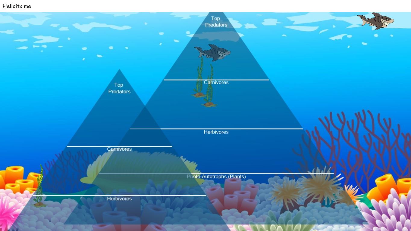 Ocean Ecological Pyramid