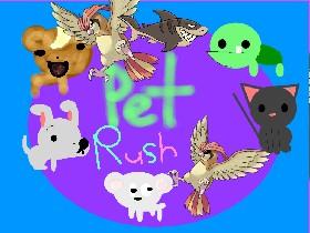 Pet run 1