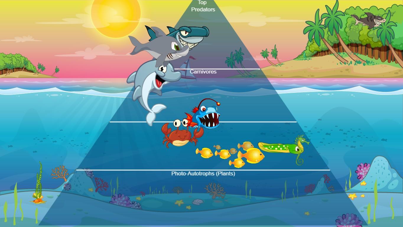 Ocean Ecological Pyramid