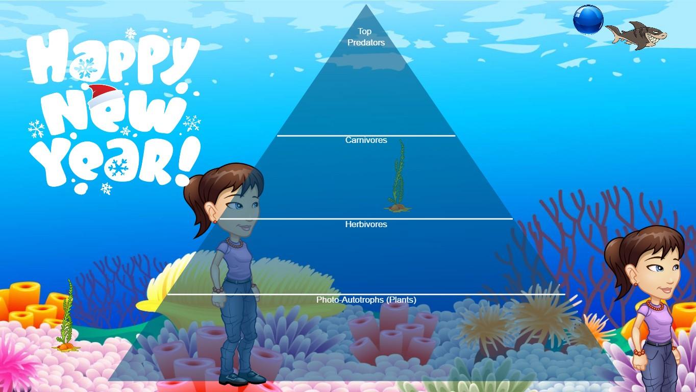 Ocean Ecological Pyramid