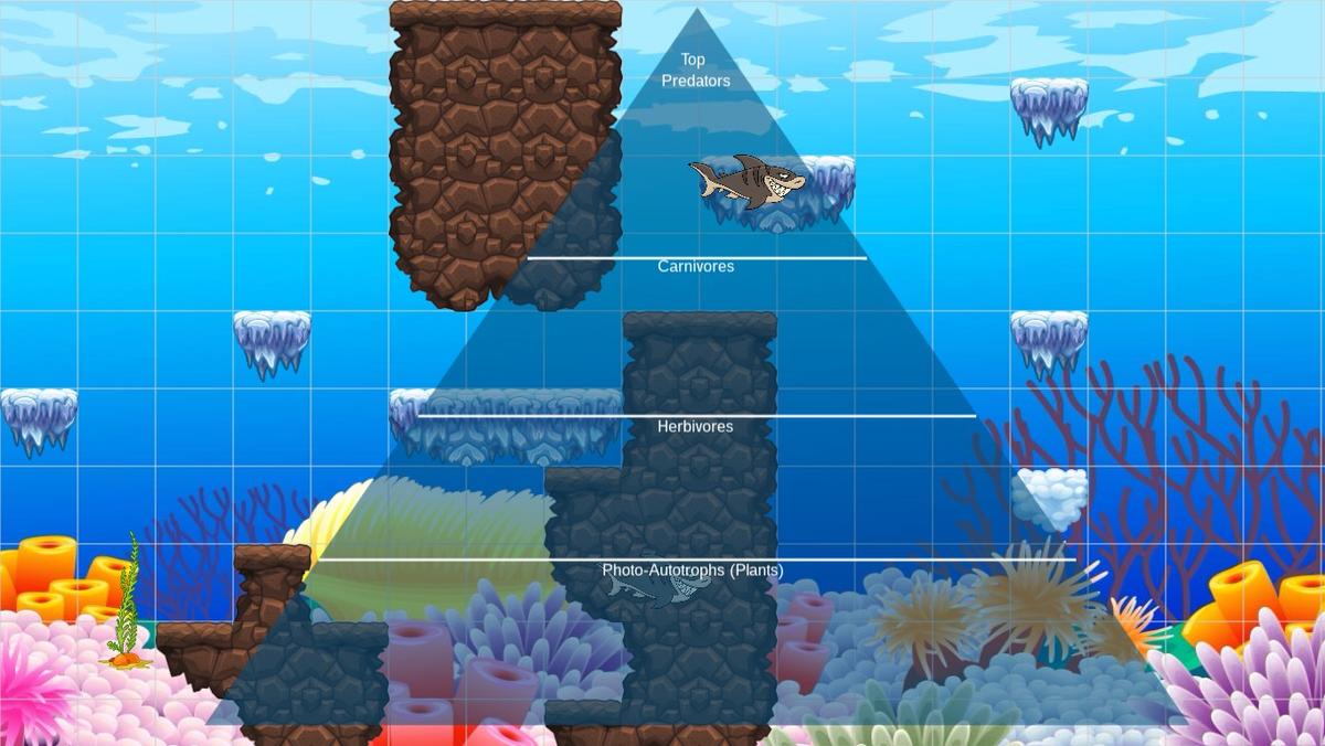 Ocean Ecological Pyramid