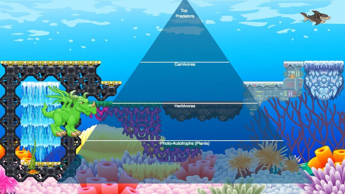 Ocean Ecological Pyramid