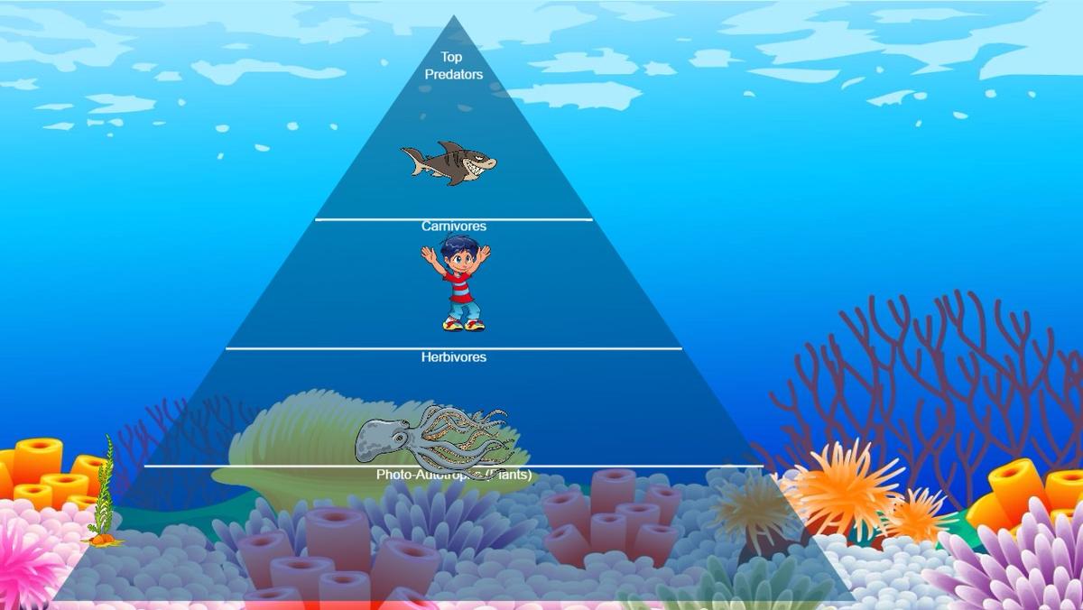 Ocean Ecological Pyramid