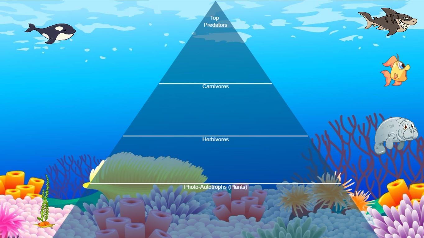 Ocean Ecological Pyramid