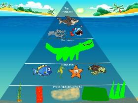 Ecological Pyramid 1