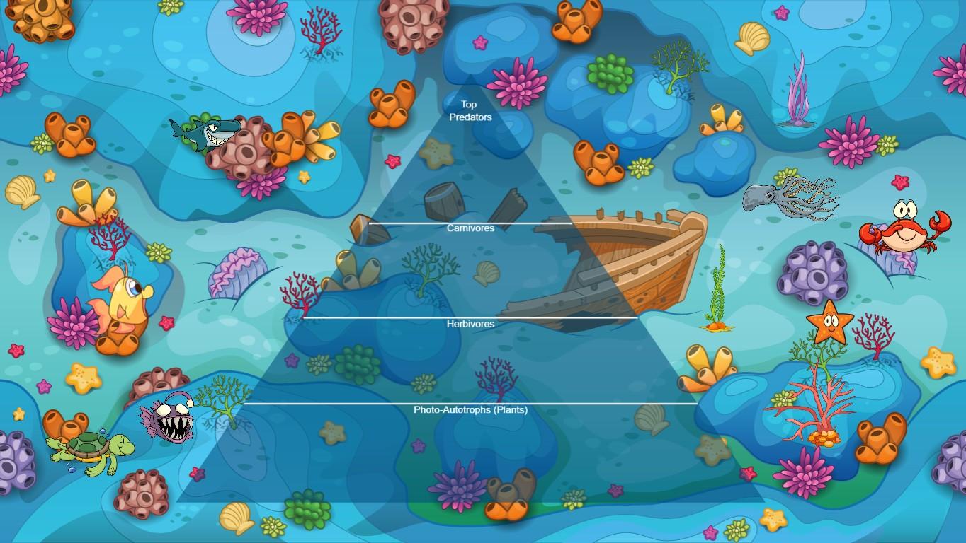 Ocean Ecological Pyramid