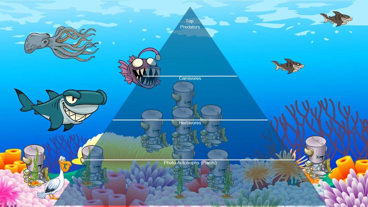 Ocean Ecological Pyramid