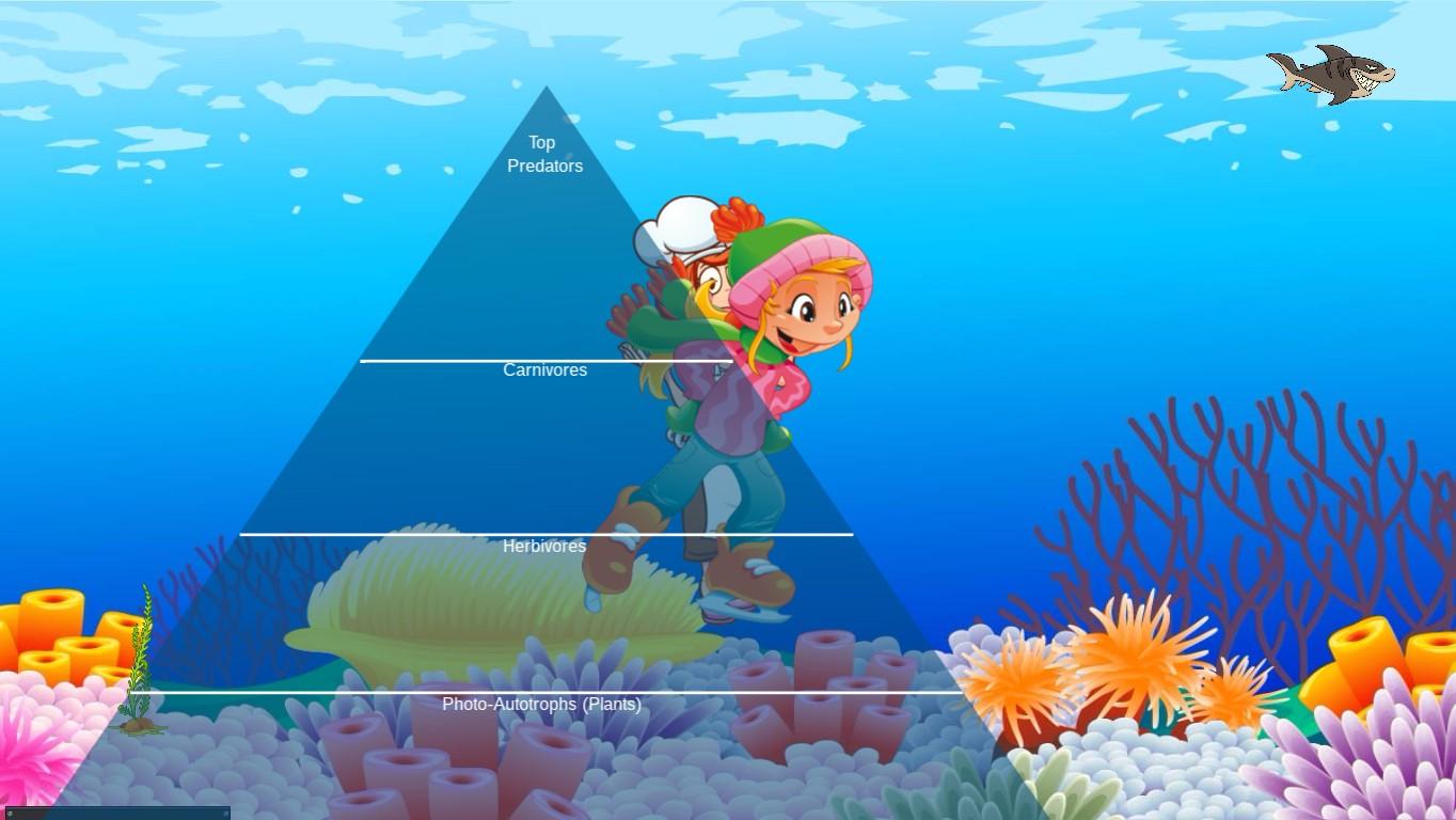 Ocean Ecological Pyramid