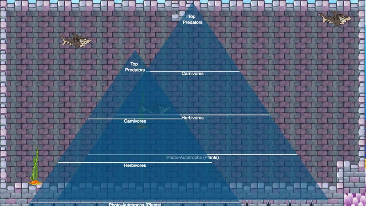 Ocean Ecological Pyramid